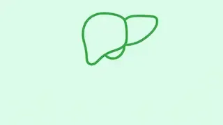 Emésztés, máj & detox